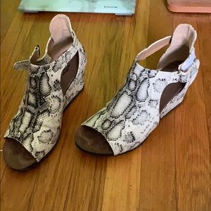 Snake Skins shoes